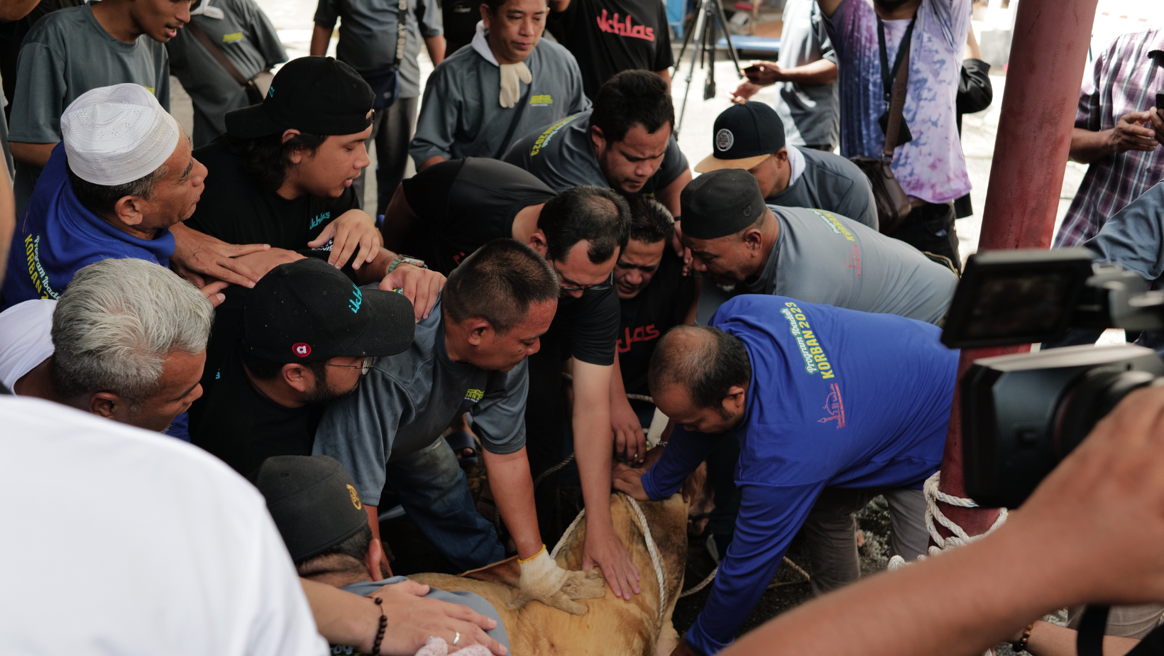 Apakah_Hukum_Akikah_untuk_Anak_yang_Telah_Meninggal_Dunia.png