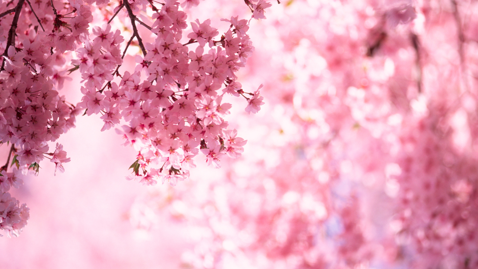 _Template_images_for_blog_2.0_(14).png