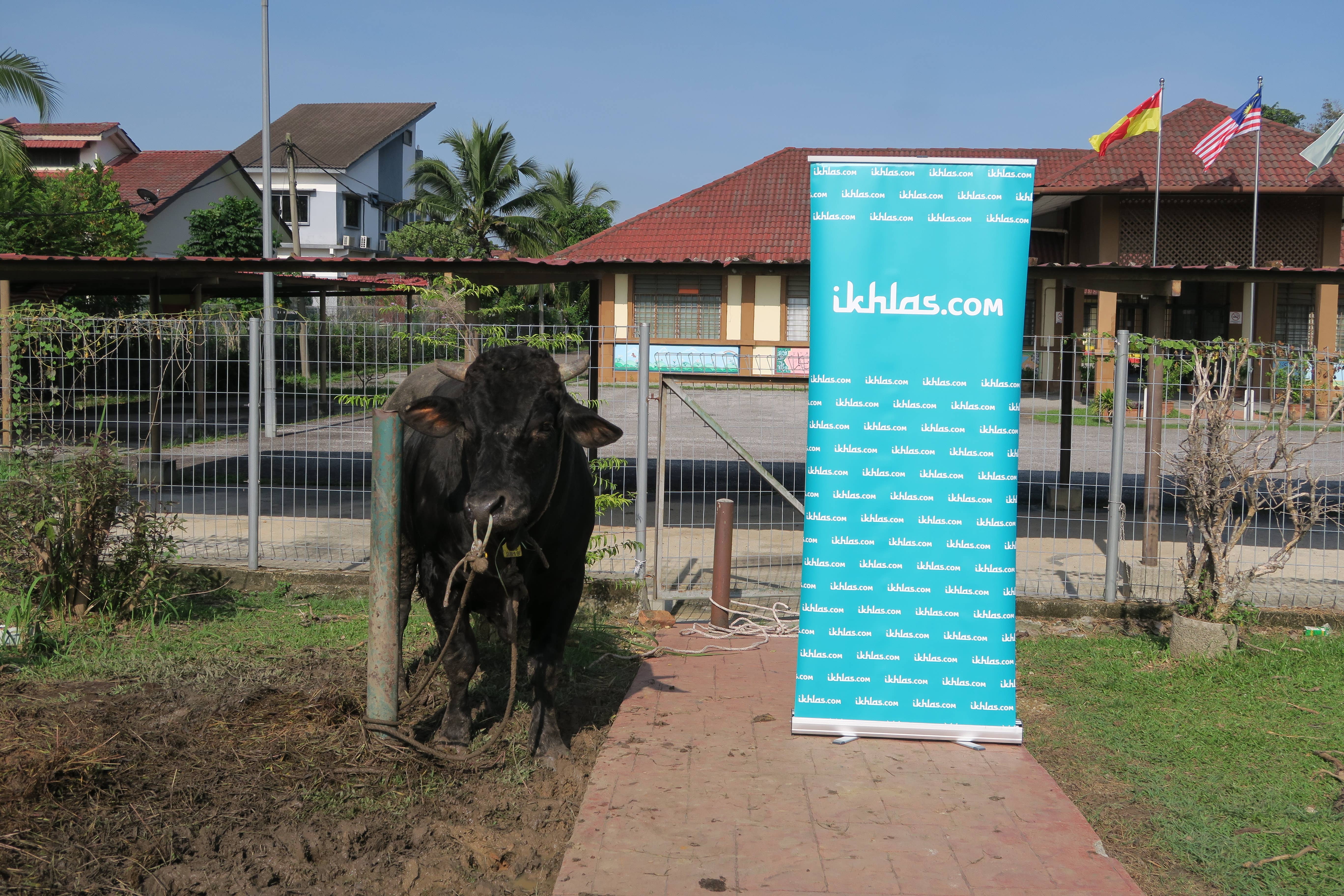 Ikhlas_Qurban.jpg