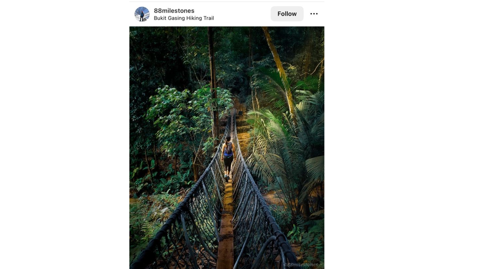 Hiking_Bukit_Gasing.png
