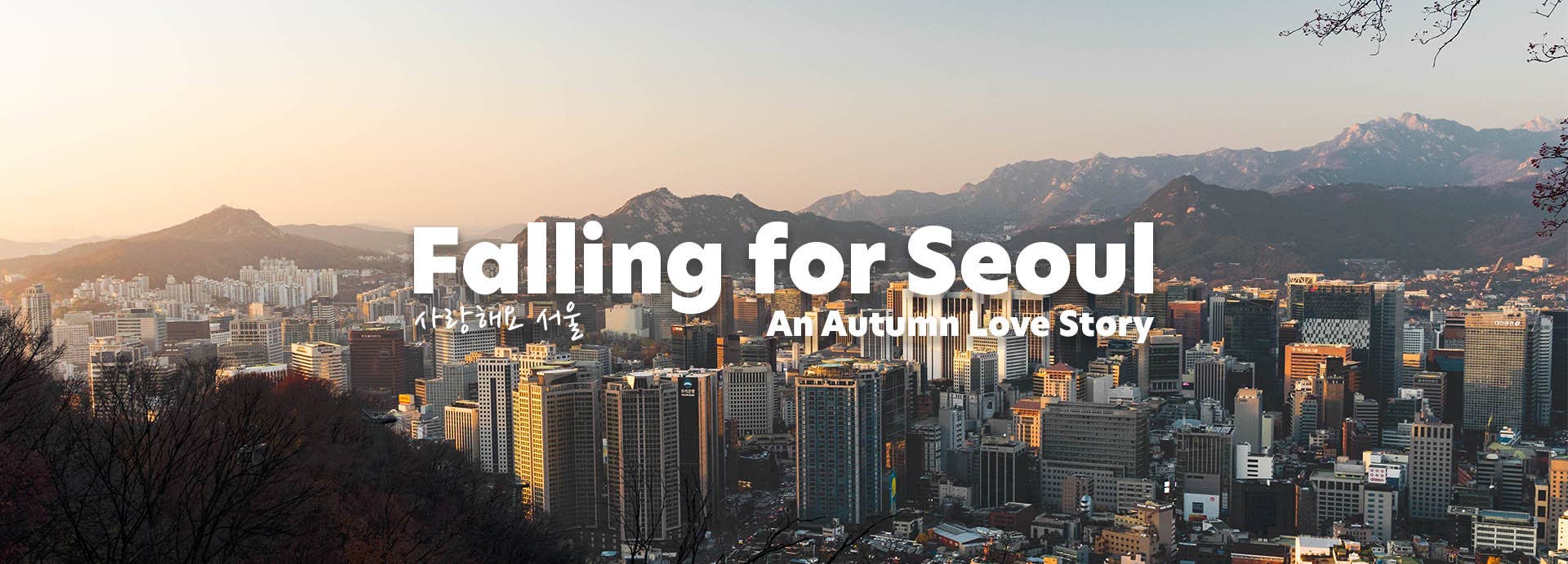 Falling_For_Seoul.jpg