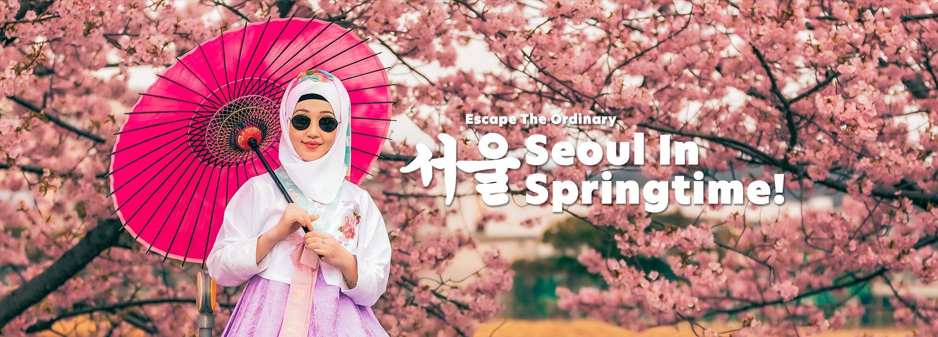 Seoul_in_spring_banner_copy.jpg